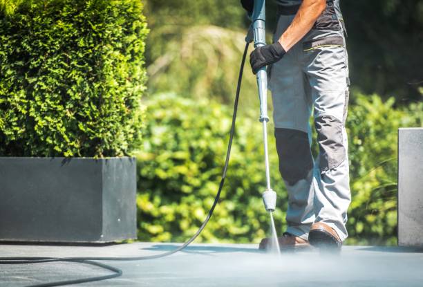 Best Fence Cleaning  in Lewisburg, WV