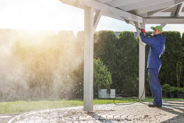 Best Patio and Deck Pressure Washing  in Lewisburg, WV