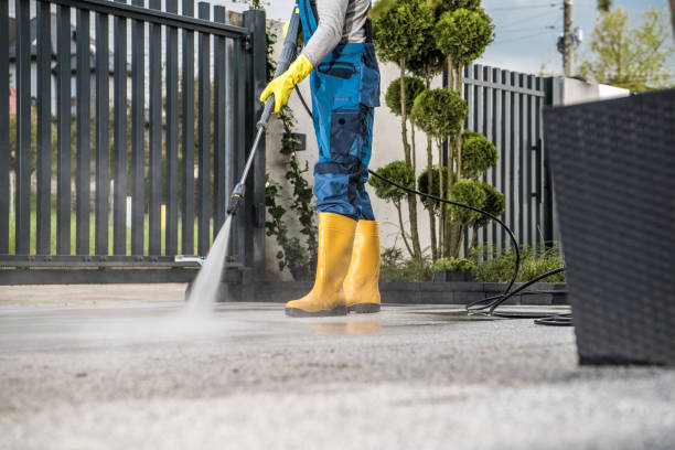 Boat and Dock Cleaning in Lewisburg, WV