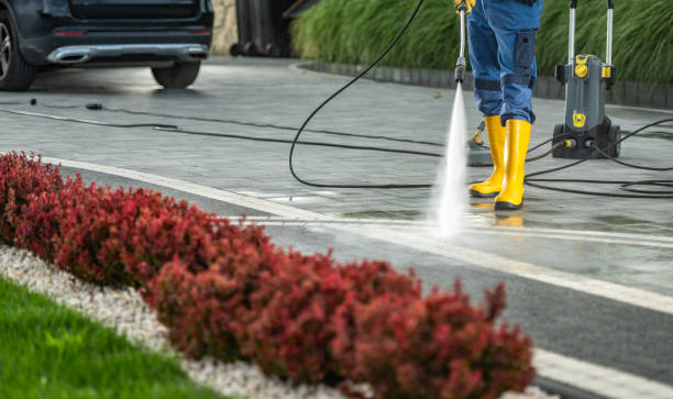 Best Roof Washing  in Lewisburg, WV